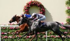 Irish Oaks 2024 – Content Usurps Port Fairy as Favourite for Fillies’ Curragh Classic featured image