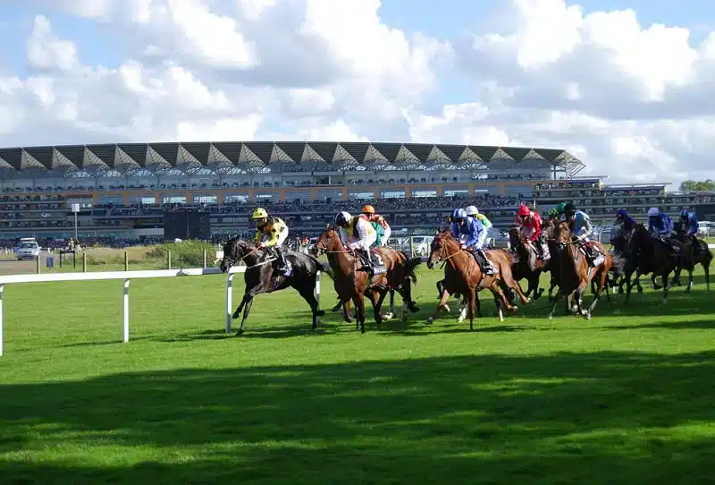 Royal Ascot races