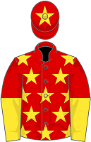 China Horse Club silks