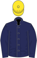 Rothschild silks