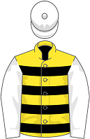 Sevennas Knight silks